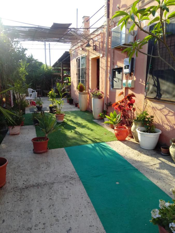 B B Casa Vacanze Il Pino Di Pino Ласкари Экстерьер фото